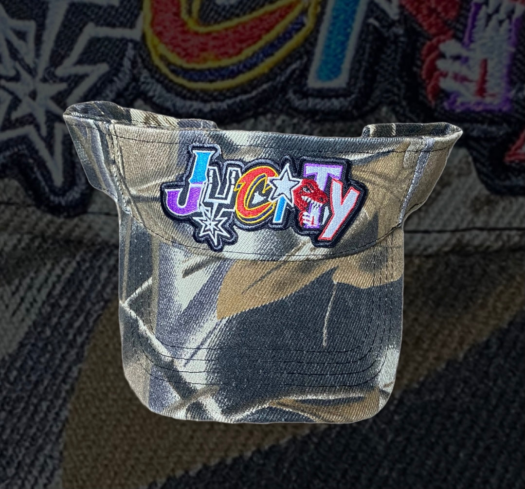 WHAT THE JUCITY SUN VISOR